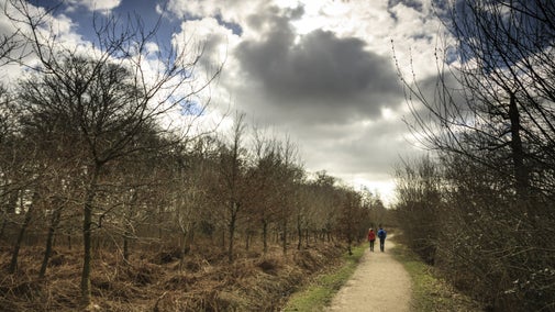 Visitors walking on a path through the winter parkland at Dunham Massey, Cheshire